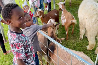 Cajun Cuties Mobile Petting Zoo and Pony Rides