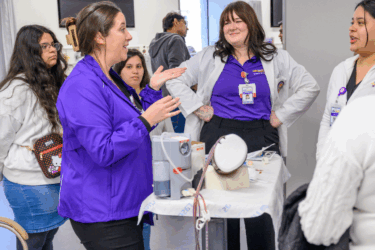 lsu nursing program