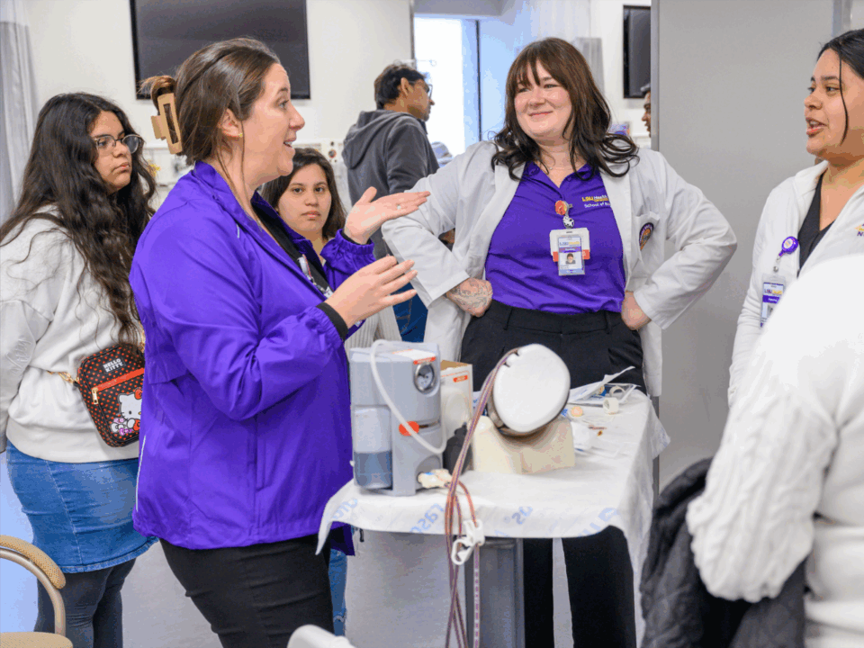 lsu nursing program