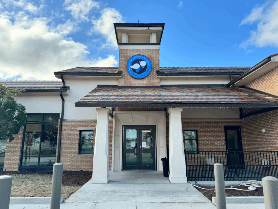 companion animal alliance building