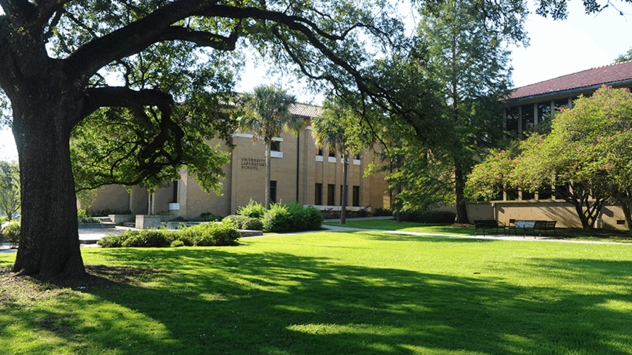 university laboratory school