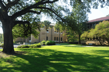 university laboratory school