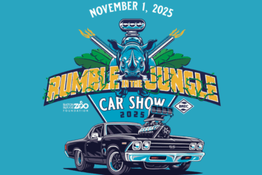 rumble in the jungle; event logo