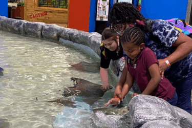 family-friendly attractions; blue zoo baton rouge