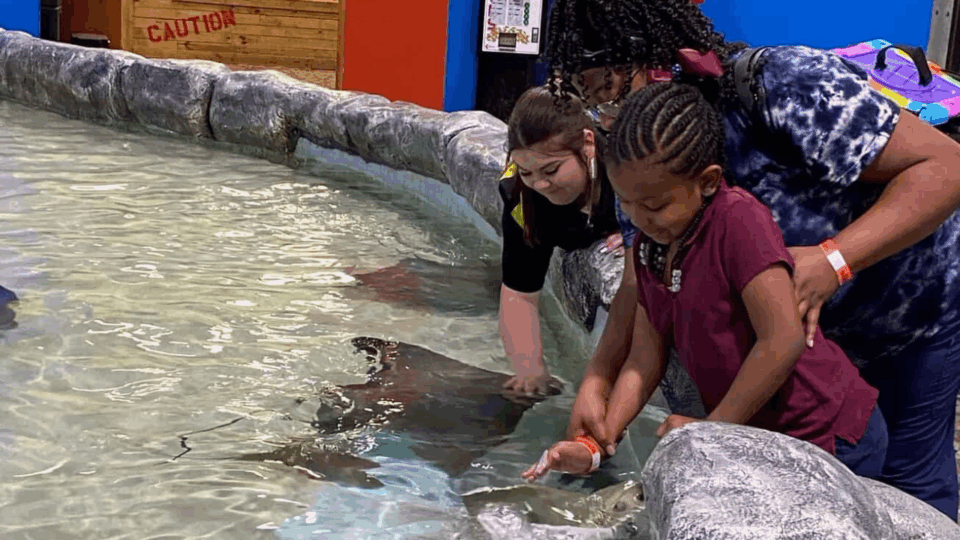 family-friendly attractions; blue zoo baton rouge