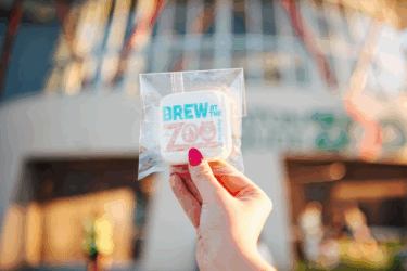 brew at the zoo; woman holding brew at the zoo cookie