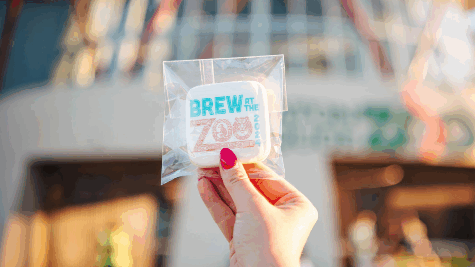 brew at the zoo; woman holding brew at the zoo cookie