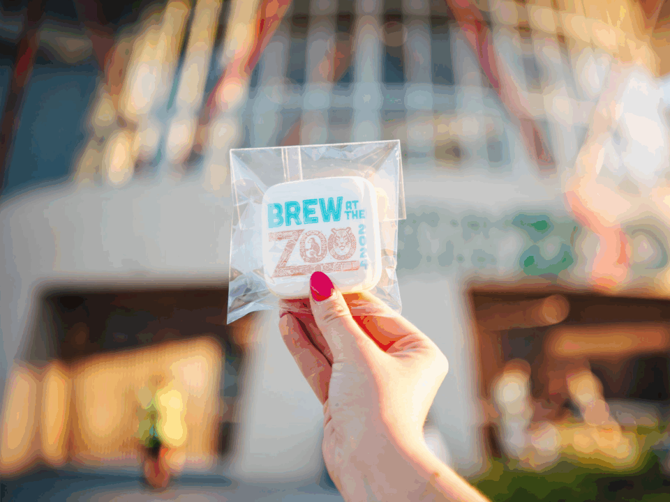 brew at the zoo; woman holding brew at the zoo cookie
