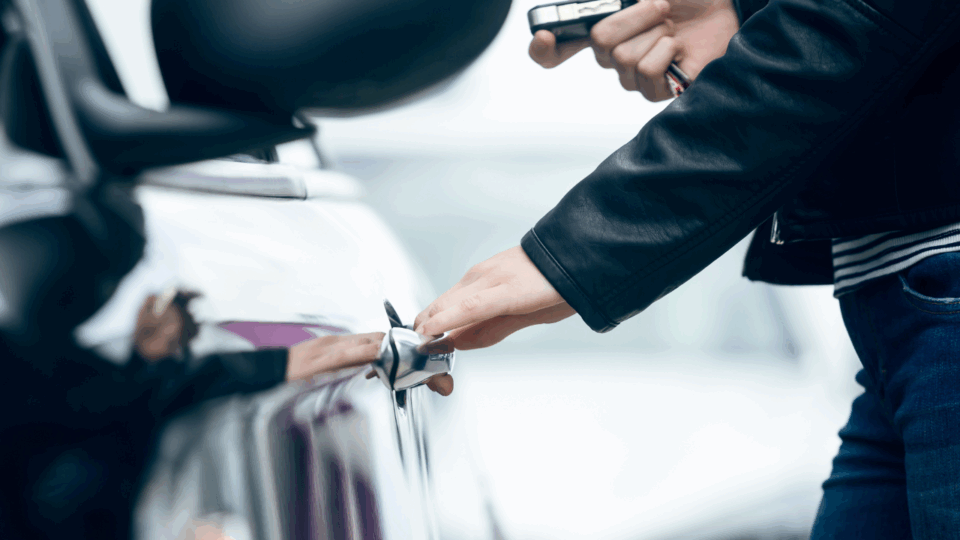 louisiana omv; adult getting into car