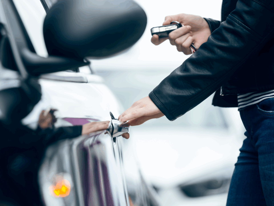 louisiana omv; adult getting into car