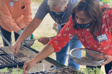 food education; working in garden