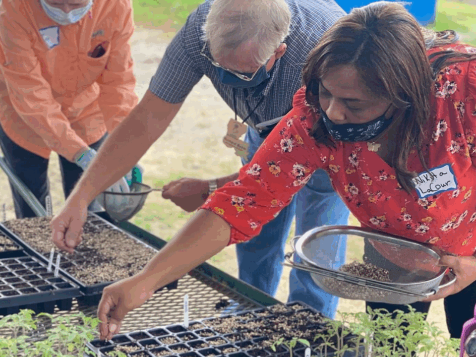food education; working in garden
