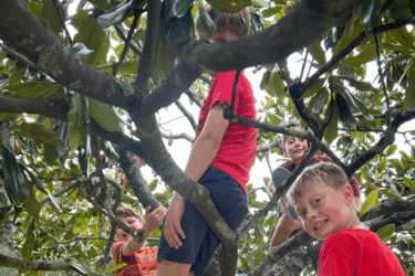 parenting through learning differences; boys in tree