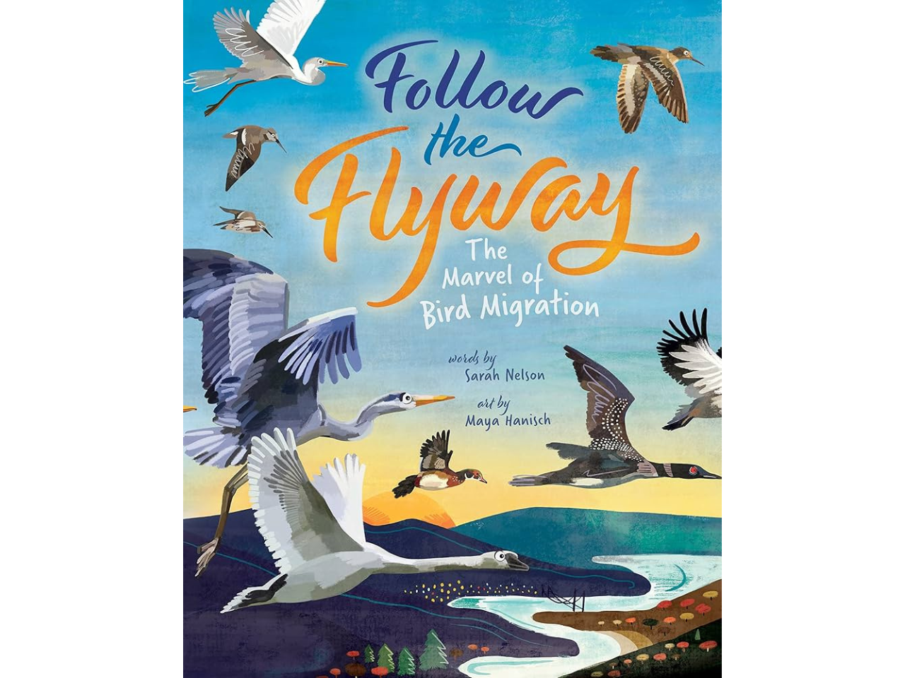 follow the flyway