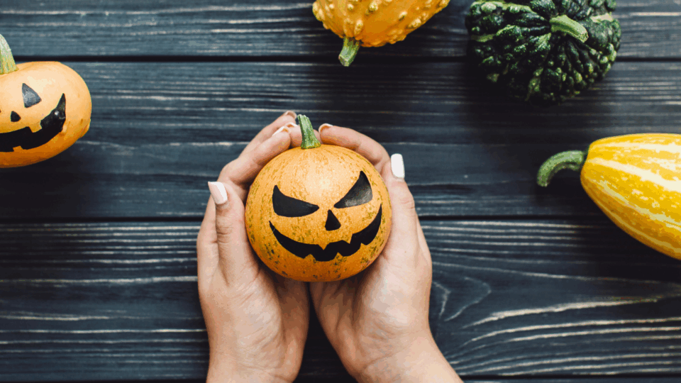 no-carve pumpkin crafts
