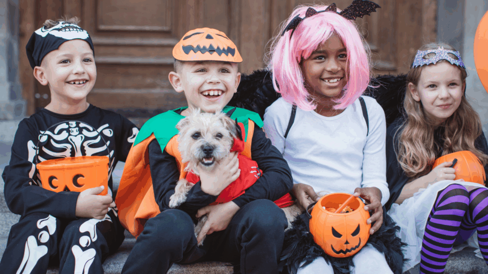 Trick-or-Treating Times