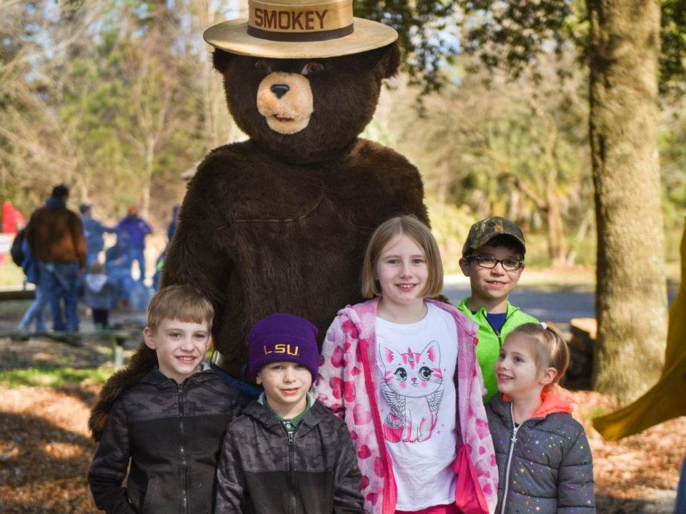 january bucket list; arbor day