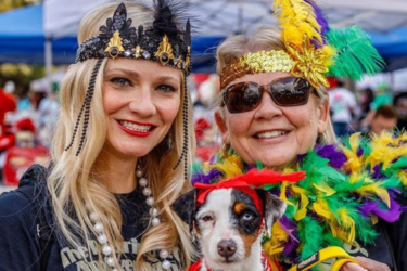 free events; krewe of mutts