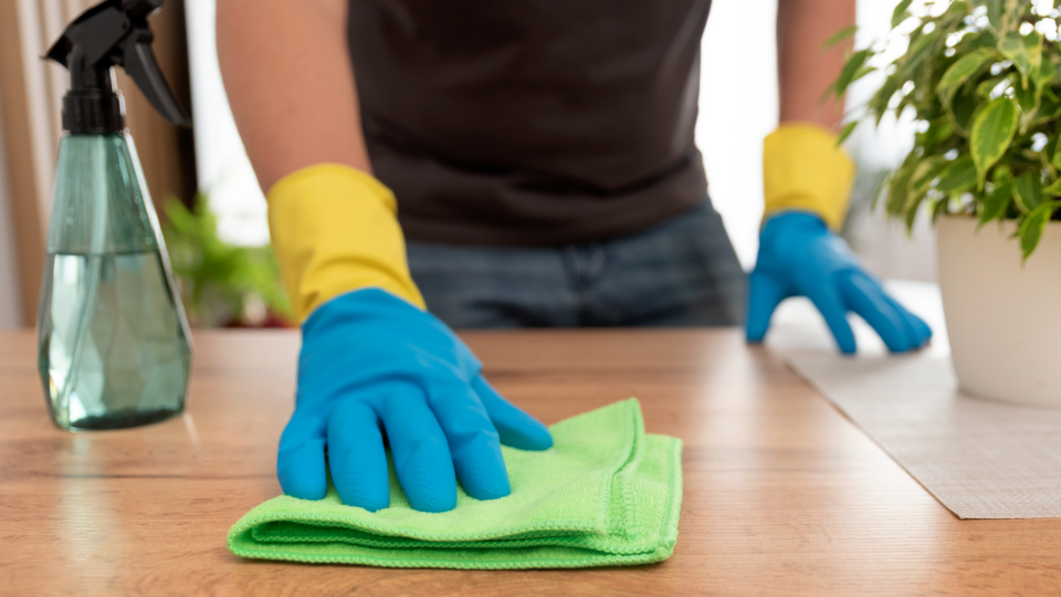 family illness; parent cleaning house