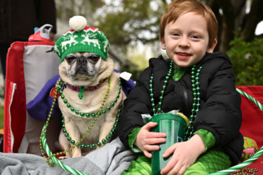 free happenings; wearin' of the green parade