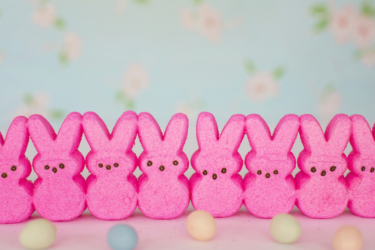 lineup of pink Peeps shaped like bunnies