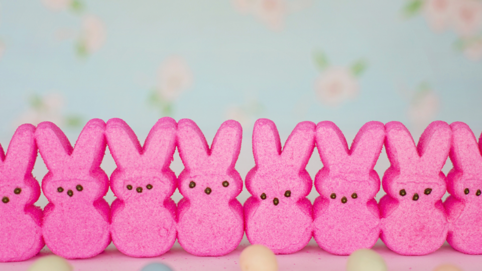 lineup of pink Peeps shaped like bunnies