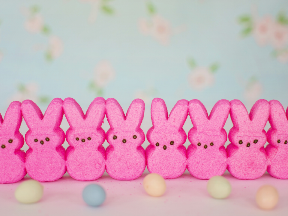 lineup of pink Peeps shaped like bunnies