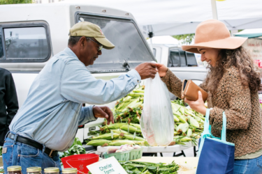 free family fun; farmers market