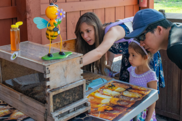 free fun at LSU AgCenter Botanic Gardens
