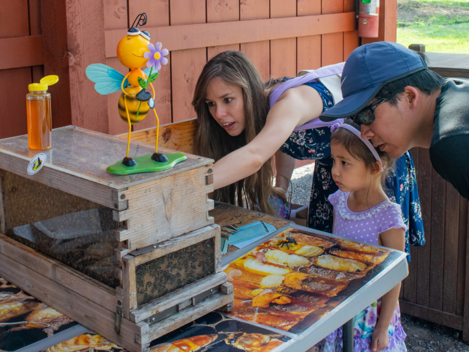 free fun at LSU AgCenter Botanic Gardens