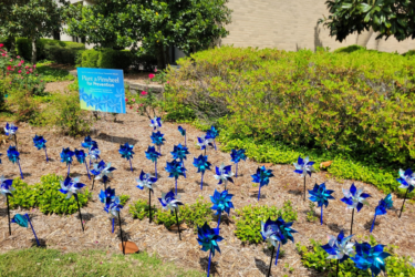 Pinwheels for Prevention; blue pinwheels in ground