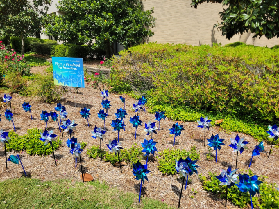Pinwheels for Prevention; blue pinwheels in ground